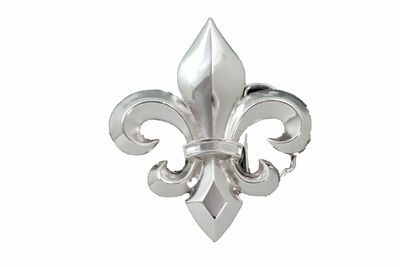 Men Western Fun Belt Buckle Silver Metal Fleur De Lis Bling Lily Flower Day Wear