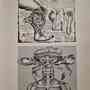 "Le Regard Geologue" Dessins 1969-1972 by Richard Aeschlimann -2