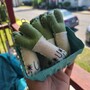 Felt Green Onion (Gronion) keychain-4