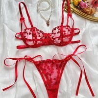 Women's embroidered sexy lingerie set bra and panties set - Thumbnail 1