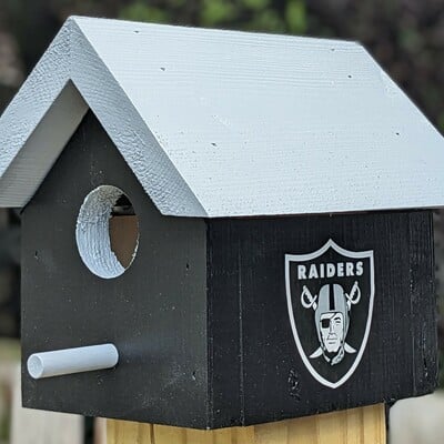 Raiders bird house