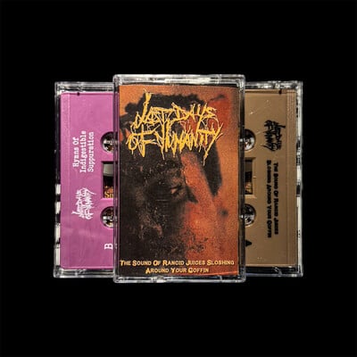Last Days Of Humanity - The Sound Of Rancid Juices Sloshing Around Your Coffin (TAPE)