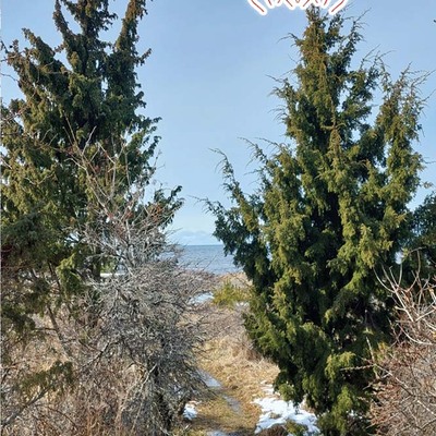Lohikäärme "rangaistuksen kevät" tape