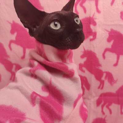 Be the unicorn ( pink) - lightweight fleece - Thumbnail 1