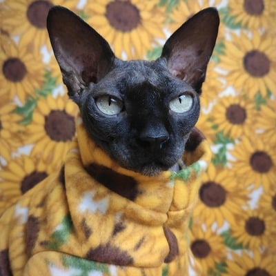 Sunflower - luxe fleece - Thumbnail 1
