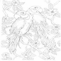 Coloring Book - 110 Animals Full Page Coloring Book, Printable , Grayscale Coloring Book for Adult Kids, Cute Life Animals - Thumbnail 3