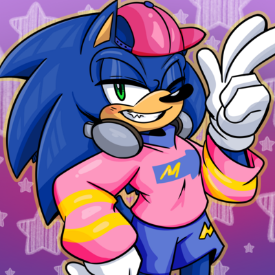 Sonic's favorite clothes medium / large print