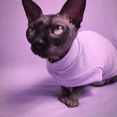Lilacs - ribbed for her pleasure  - Thumbnail 1
