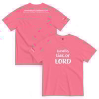 Lunatic, Liar or LORD - Thumbnail 12