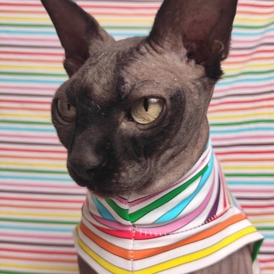 Rainbow lines - sleepwear - Thumbnail 1