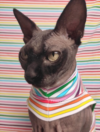 Rainbow Lines - Sleepwear