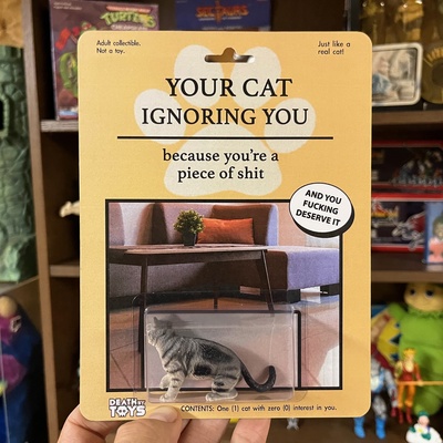 Ignoring Cat - V4