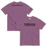 Nullification: The Rightful Remedy - Thumbnail 3