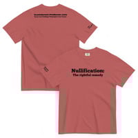 Nullification: The Rightful Remedy - Thumbnail 4