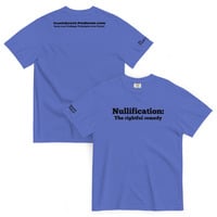 Nullification: The Rightful Remedy - Thumbnail 6