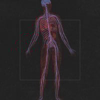 LAST MATCHING PAIR: Curiosa Naturæ 000 + 006 large prints #65/65 - Thumbnail 1