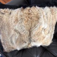 Coyote throw pillow - Thumbnail 4