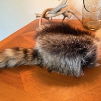 Childrens coon skin cap  - Thumbnail 1