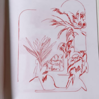 'Metempsychosis' 16-page Risograph zine, Collaboration with Jon Vaughn - Thumbnail 3
