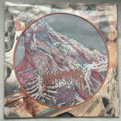  hemorrhoid - "raw materials of decay" picture disc lp