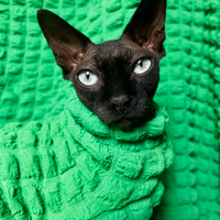 Emerald - Catbumps - Thumbnail 2