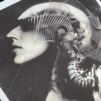 Shedding Bones I - large giclée print - 16" x 20" - Thumbnail 3