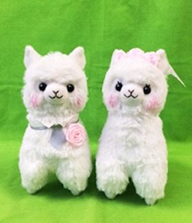 Set 2 Amuse limited! [Bridal alpacasso] ☆ Wedding alpaca Girl