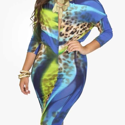 Sexy colorful & animal print dress