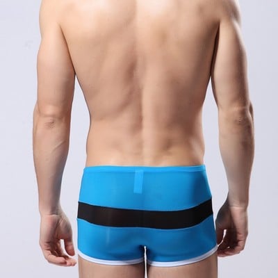 Blue men's sexy underwear transparent mesh gauze boxer briefs underpants #b010